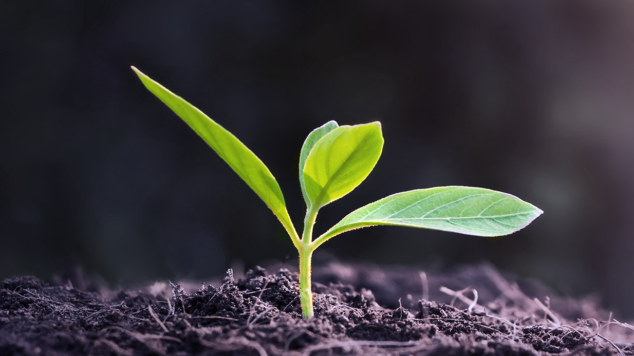 Zrównoważony rozwój w firmie KESSEL Zrównoważony rozwój w firmie KESSEL