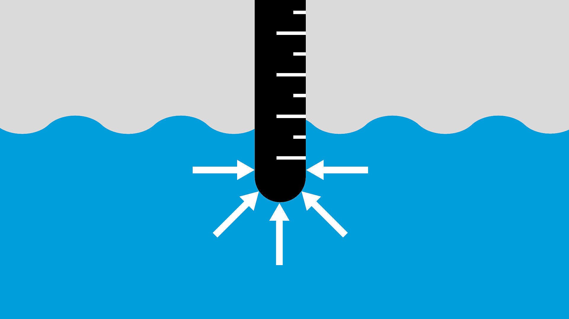 Czujnik hydrostatyczny Czujnik hydrostatyczny